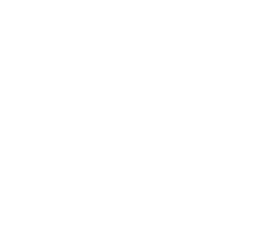 RS Investment